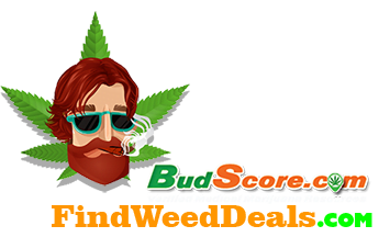 BUDSCORE 81