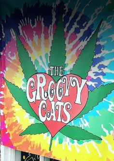 groovy cats