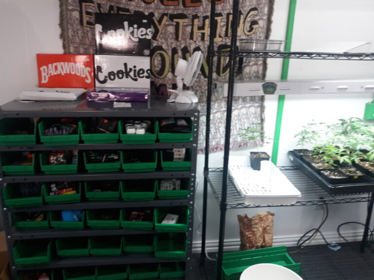 20210701 111412 768x576