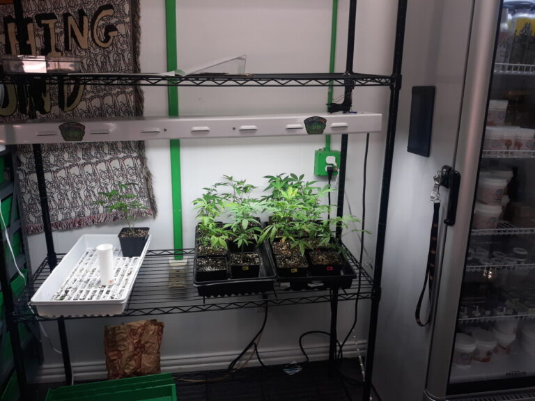 20210701 111415 768x576