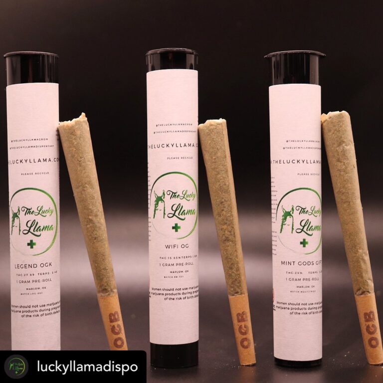 137302823 233760034861550 6711383980313052900 n 768x768