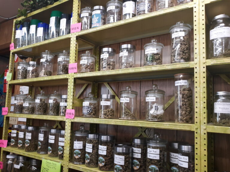 20210804 133349 768x576