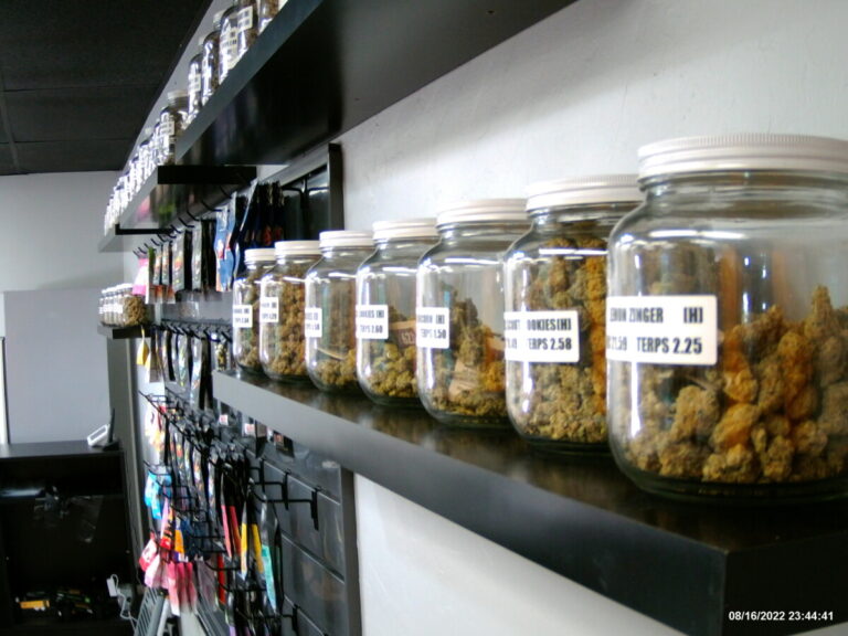 IMG220816 234441F 768x576