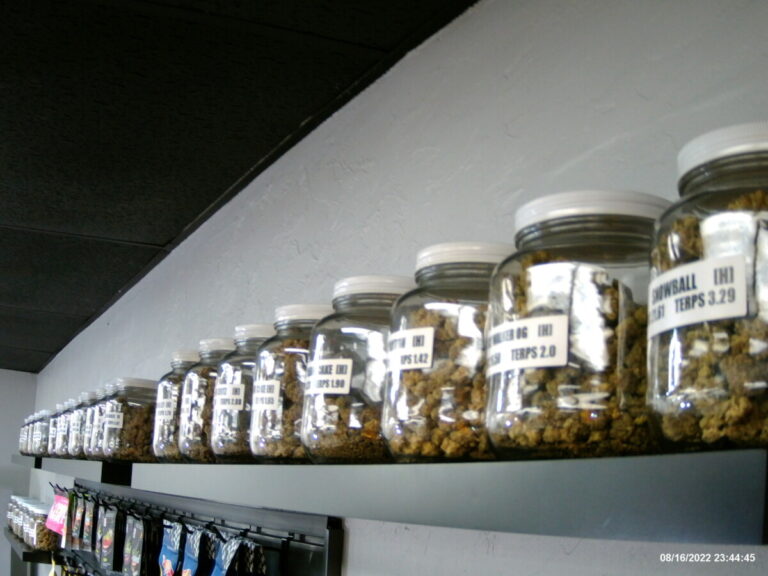 IMG220816 234445F 768x576