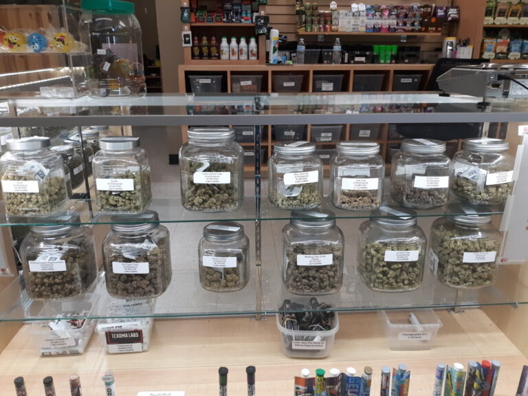 20211011 130101 768x576