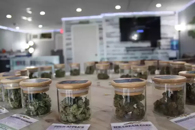 IMG 0545altrd vizion dispensary lawtonaltrd vizion dispensary lawtondispensary lawton 768x512