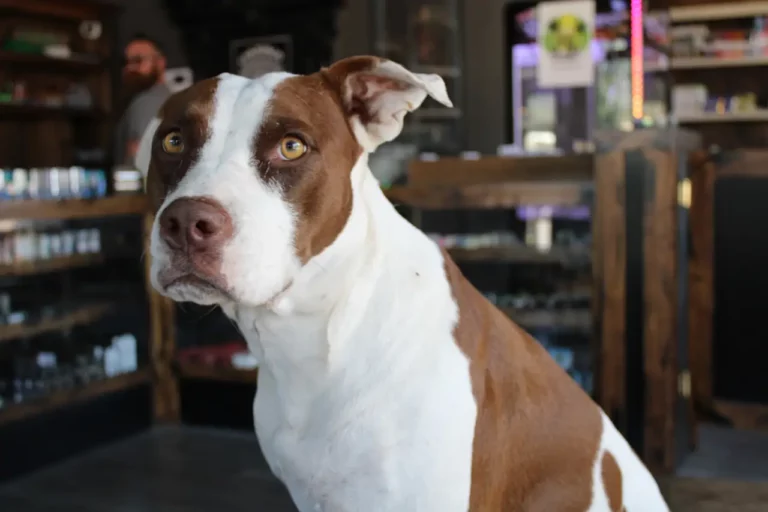 IMG 0711dispensary hobart okdispensary hobart ok Copy 768x512