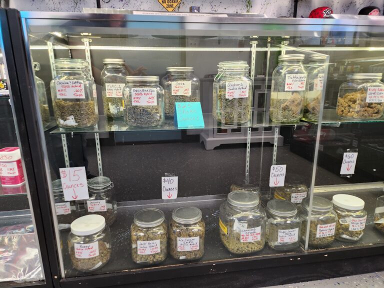 20230107 102517 768x576