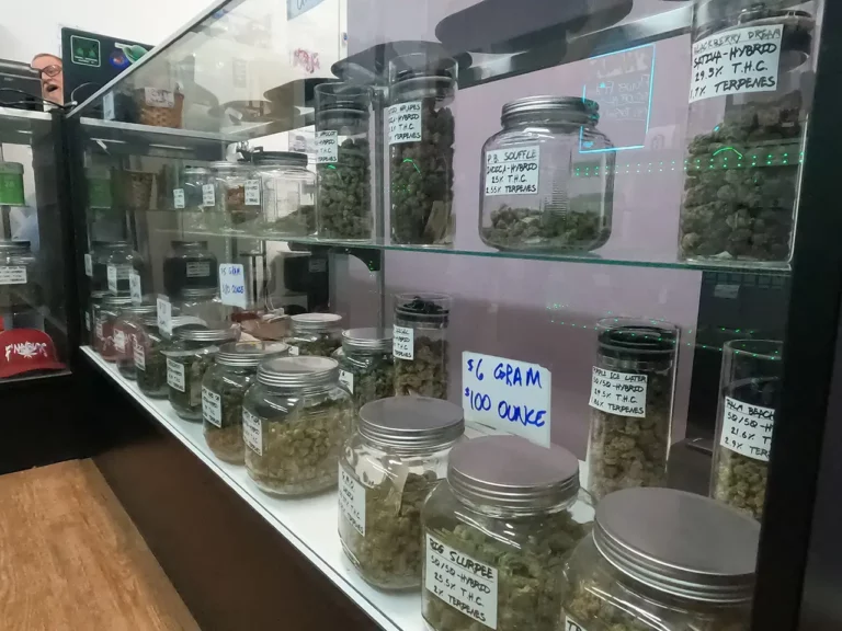 GOPR0471 dispensary image dispensary image 768x576