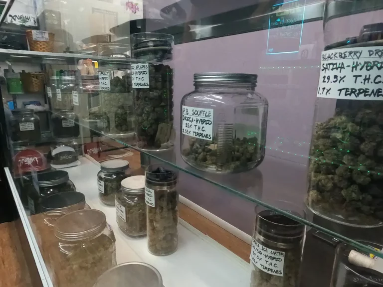 GOPR0473 dispensary image dispensary image 768x576