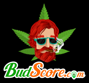 BUDSCORE Dispensary Maps 7