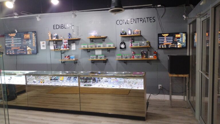 IMG 20230221 163249437 768x432