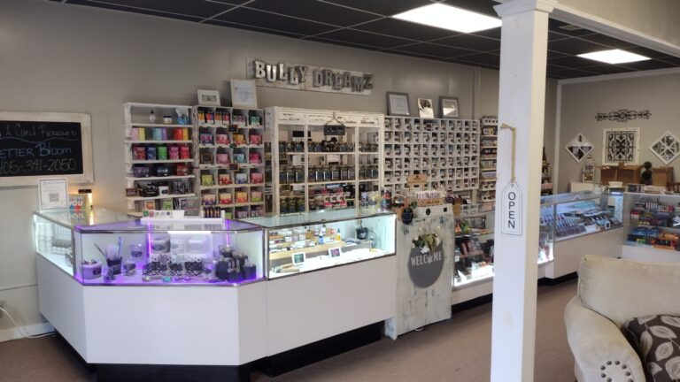 IMG 20230301 101312022 768x432