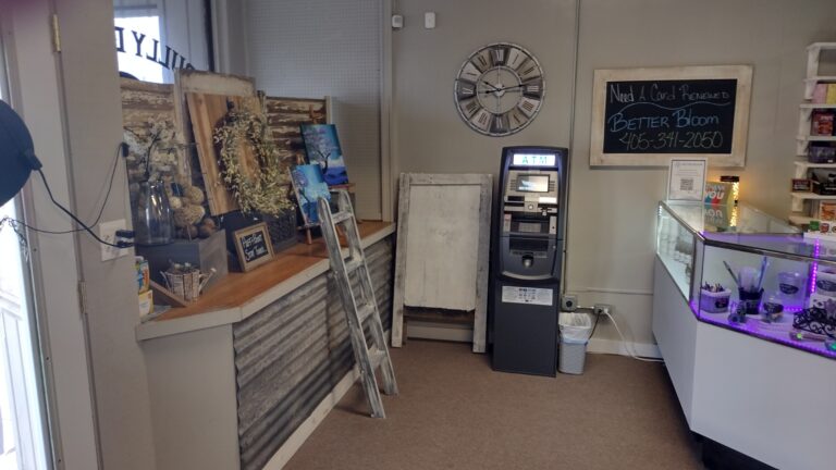 IMG 20230301 101317000 HDR 768x432