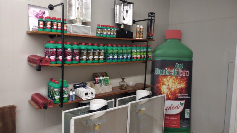 IMG 20230301 101341999 768x432