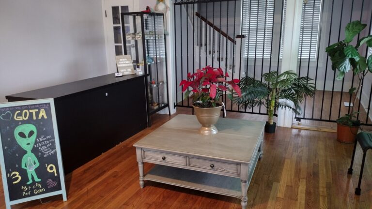 IMG 20230307 155130609 HDR 768x432