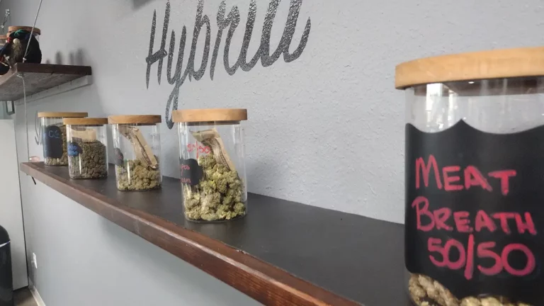 IMG 20230420 190701698 768x432