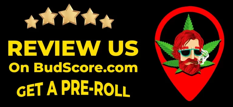 Review Us Web Image2 768x352