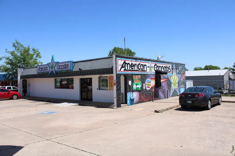 IMG 1135 Newcastle OK 768x512