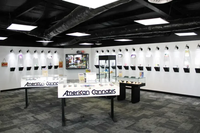 IMG 1137 Newcastle OK 768x512