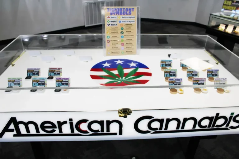 IMG 1139 Newcastle OK 768x512