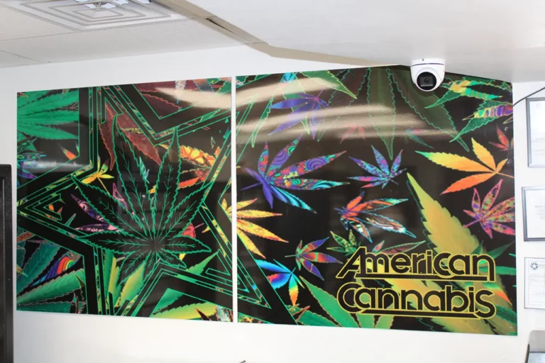 IMG 1165 Newcastle OK 768x512