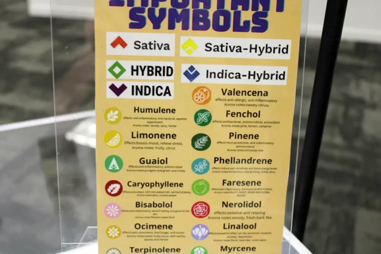 IMG 1310american cannabis dispensary stillwater ok 768x512