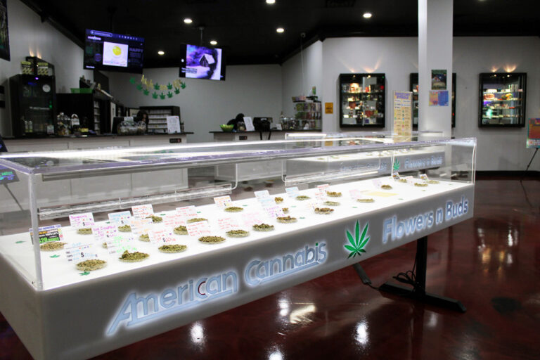 IMG 1393 american cannabis company moore ok 768x512