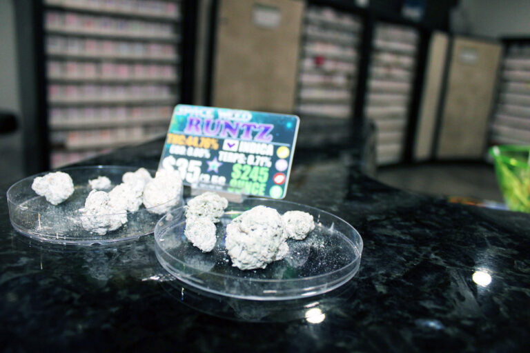 IMG 1411 american cannabis company moore ok 768x512