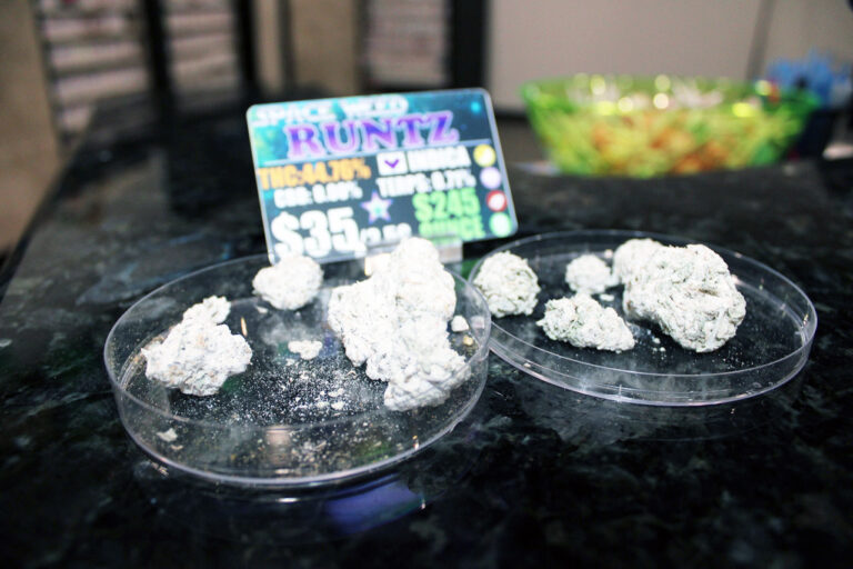 IMG 1412 american cannabis company moore ok 768x512