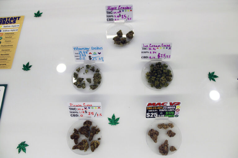 IMG 1415 american cannabis company moore ok 768x512