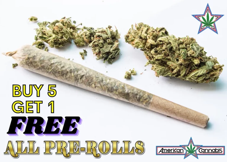 rsw 1160h 829 768x549