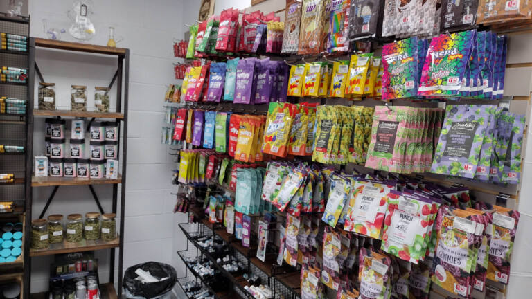 IMG 20240116 154920086 HDR 768x432